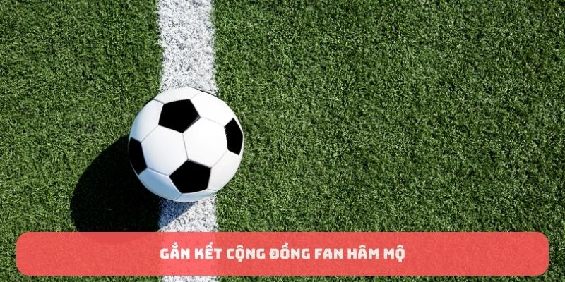 Về Chúng Tôi: CakhiaTV - Trải Nghiệm Mới Cho Fan Bóng Đá 4 Gắn kết cộng đồng fan hâm mộ