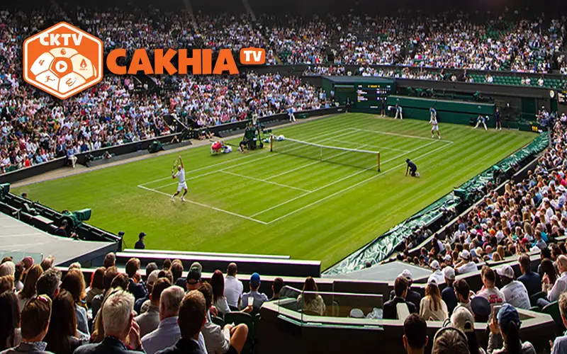 Trực tiếp tennis – điểm hẹn xem thể thao chất lượng trên CakhiaTV 2 Xem trực tiếp tennis tại Cakhia TV với chất lượng cao